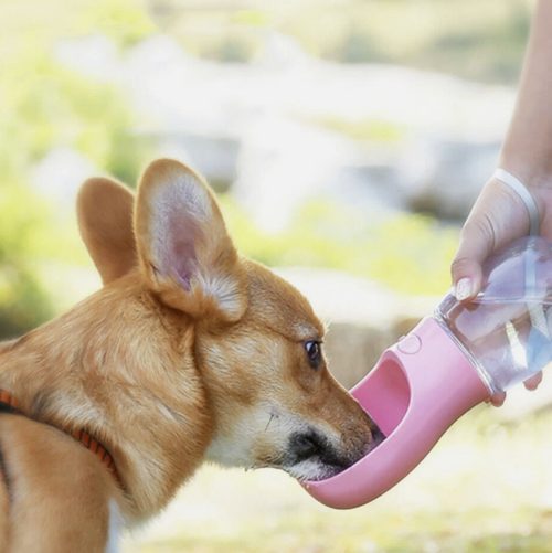 Pet Water Bottle Cup Drinking Travel Outdoor Portable Feeder - Image 3